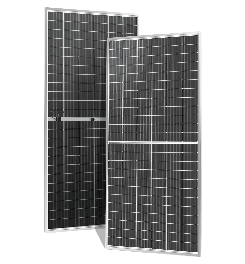 Renew Bifacial Solar Panel